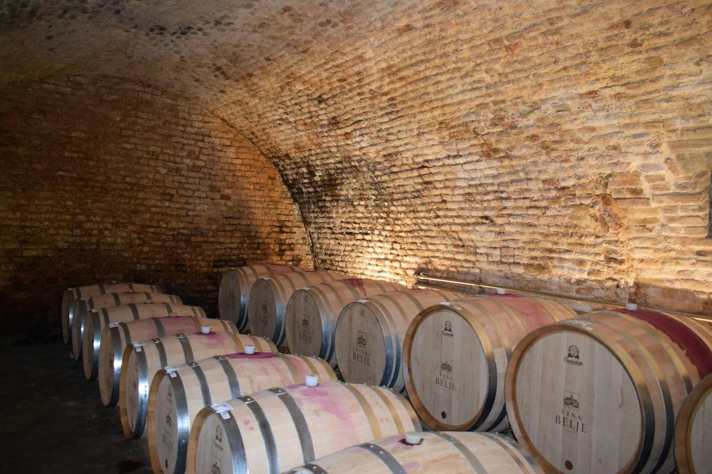 cave à vin